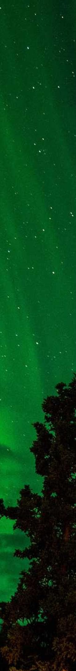 Collins, Mertz and Ward logo